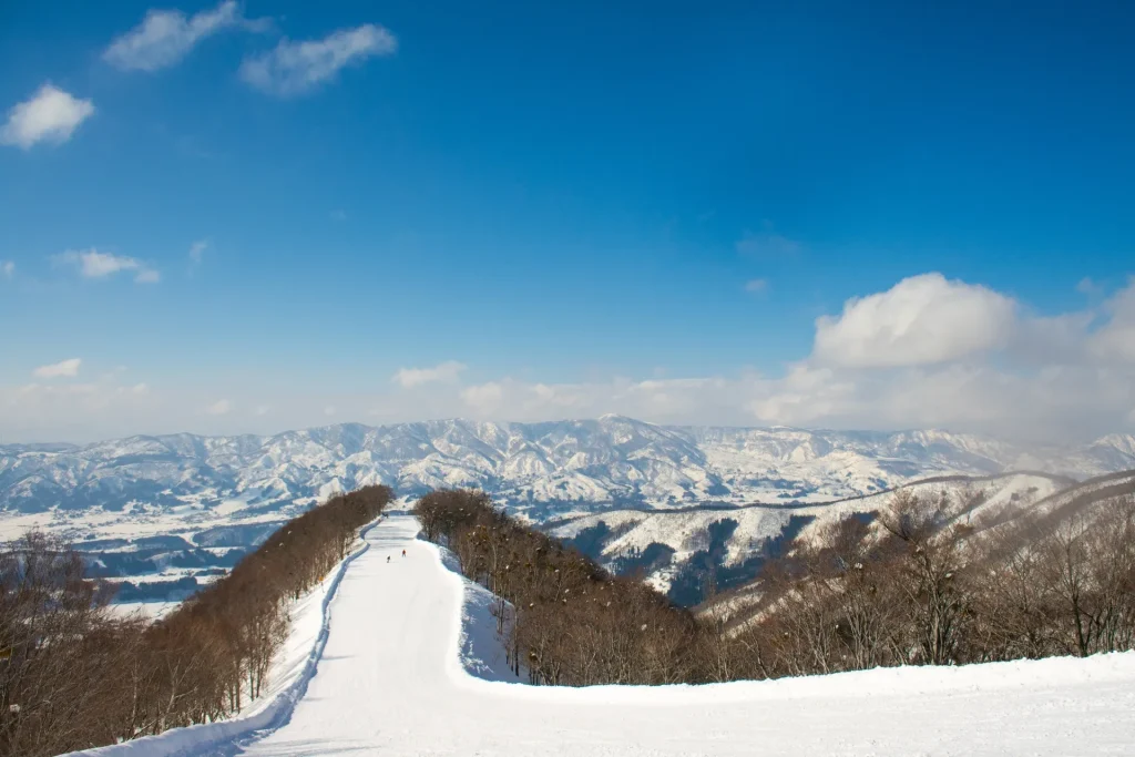 野澤溫泉預約租借雪具 Nozawa ski rental bookings