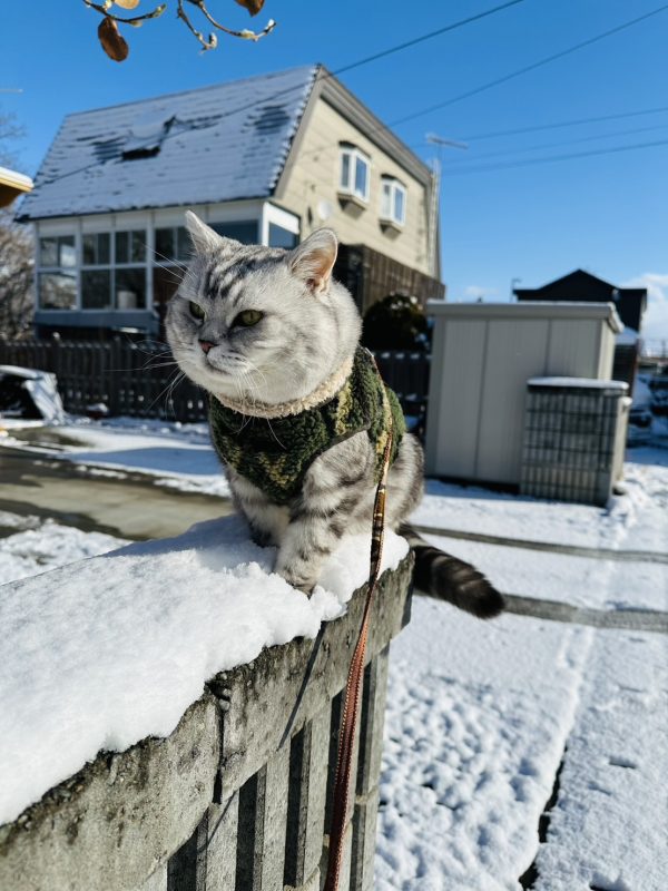 MY CASA｜札幌國際滑雪場教練-全日6小時 - 訂金