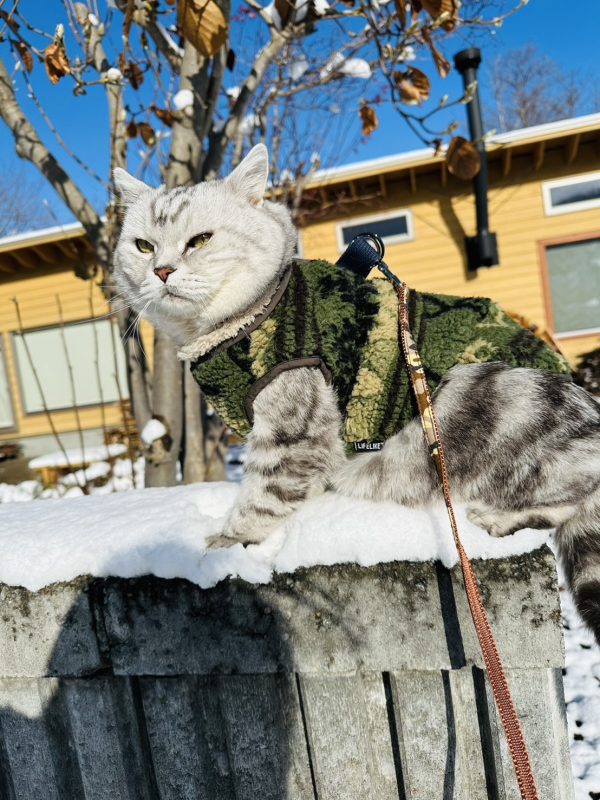 MY CASA-札幌手稻滑雪教練-全天6小時課程-訂金