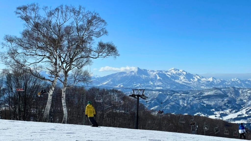 網站關於我圖片－成長