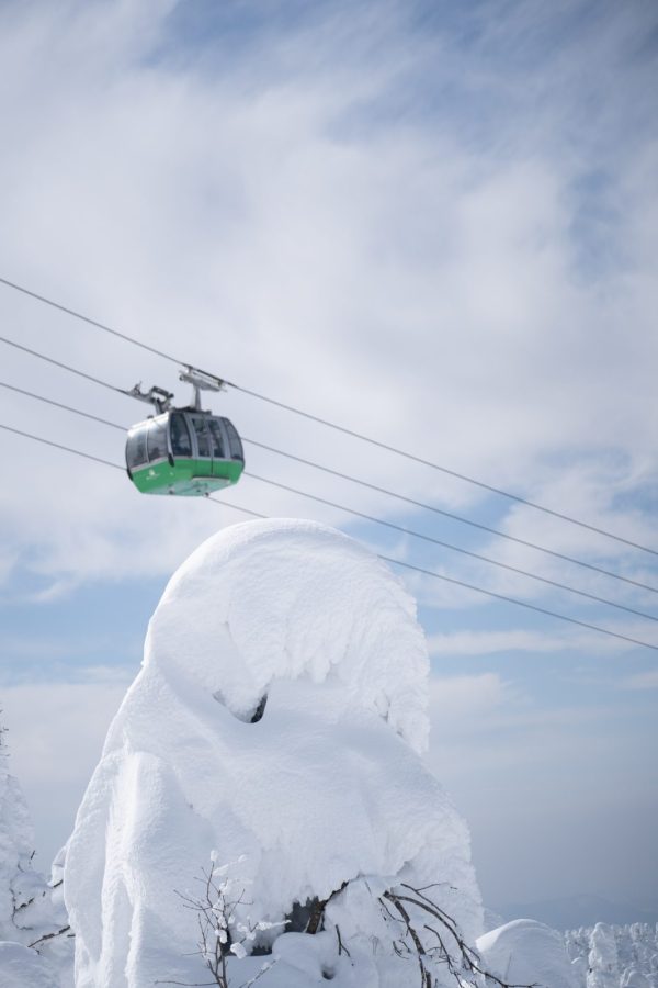 Zao 山形藏王溫泉滑雪場｜單板/雙板教練-全日6小時｜雪場公認教學單位